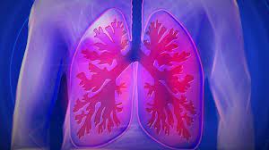 Tips for healthy respiratory system